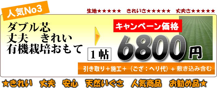 畳表替え6800円
